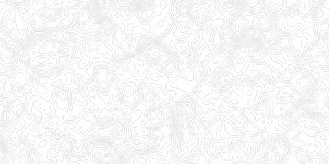 abstract curve white spiral line topography paper elegant elevation map cartographic line design. Topography and geography map grid abstract wallpaper. © Art new design