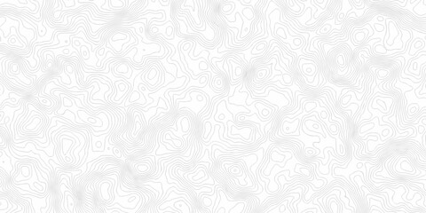 abstract curve white spiral line topography paper elegant elevation map cartographic line design. Topography and geography map grid abstract wallpaper. © Art new design