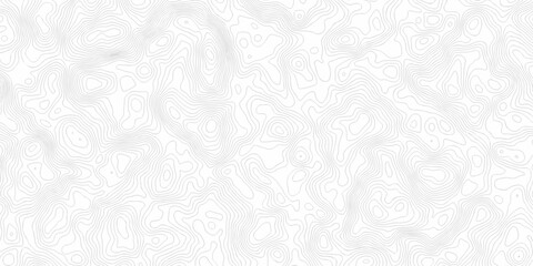 abstract curve white spiral line topography paper elegant elevation map cartographic line design. Topography and geography map grid abstract wallpaper. © Art new design