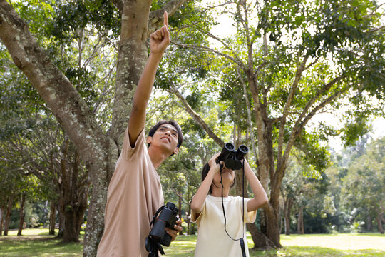 Teenage Boy Pointing While Bird Watching with Younger Sister in Nature