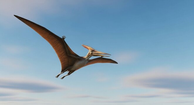 Pterodactyl soaring in the sky. Dinosaur flying creature in flight, prehistoric animal in motion.