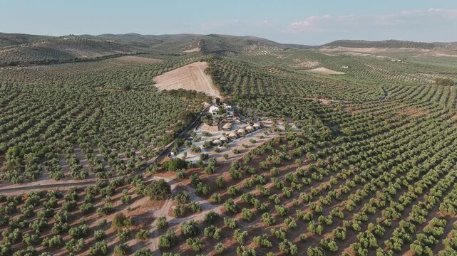 Aerial - rural retreat and dome lodges among endless olive groves and rolling hills in Archidona