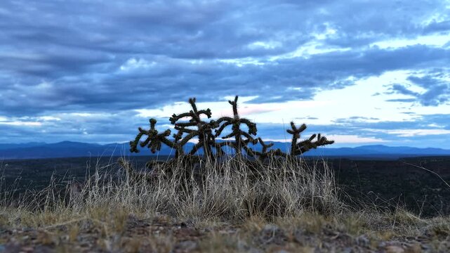 4K timelapse of a cholla cactus and golden grass in the vast high desert. Soft pastel sunset colors shift across heavy layered clouds as evening approaches over the distant mountain horizon.