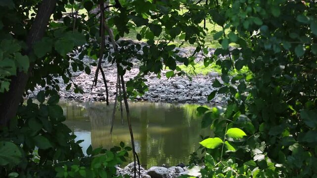 A serene view of a calm, reflective creek or small river, framed by lush, dark green foliage and tree branches in the foreground. Sunlight hits a rocky, pebbled bank on the opposite side during a peac