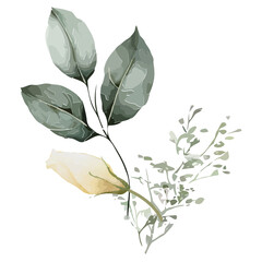 Obraz premium Floral sprig is showing on transparent background, watercolor with pale yellow bud, three leaves