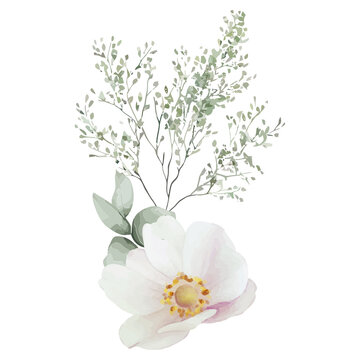 Stylized wild rose is blooming on transparent watercolor background with golden center, copy space