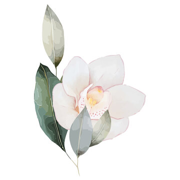 Pale pink watercolor blossom with yellow center, bud and leaves are floating on transparent canvas