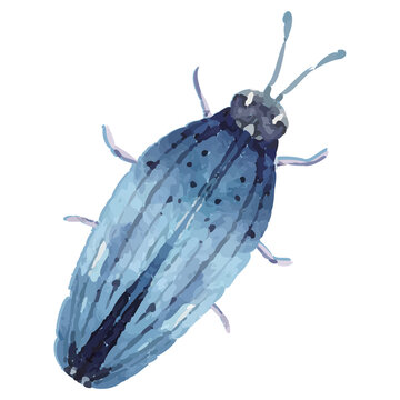 Stylized blue beetle is being shown in watercolor paint, elongated elytra, transparent background