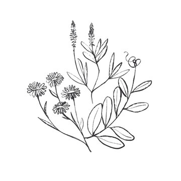Hand Drawn Line Art Floral Bouquet Illustration