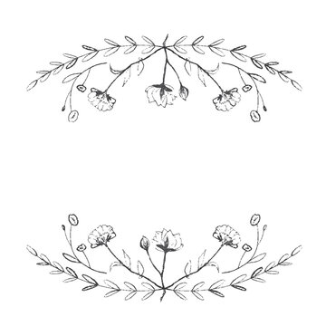 Hand Drawn Botanical Illustration Frame Design