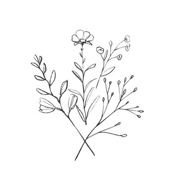 Simple Line Art Floral Arrangement Illustration