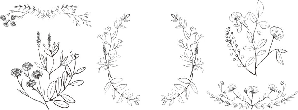 Hand Drawn Floral Arrangements and Borders Set