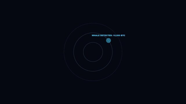 Cryptocurrency whale detected radar animation: bitcoin market movement alert with digital interface and financial data tracking 4k
