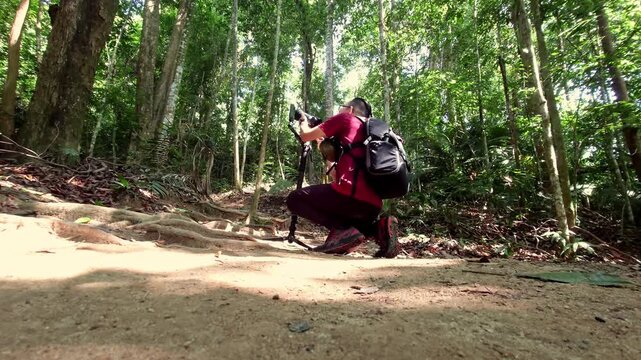A low-angle shot of a birdwatcher or photographer with backpack, crouching on a dirt trail while aiming with telephoto lens mounted on a monopod to track birds in the tall forest canopy.