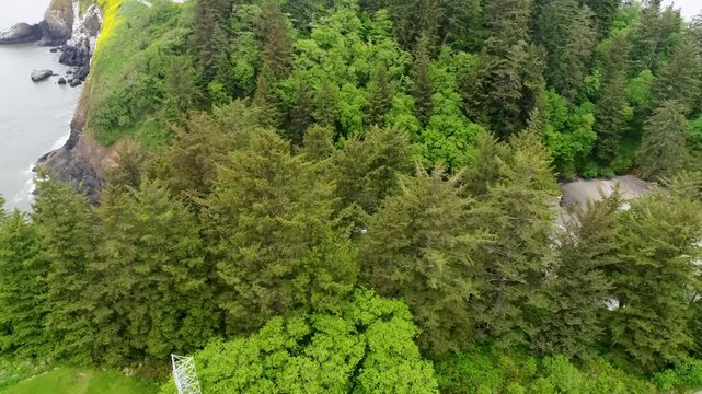 A cinematic top-down "eagle-eye" drone shot revealing Deadman's Cove, a hidden beach and rugged cliffs at Cape Disappointment, where the Columbia River meets the Pacific Ocean in Washington.