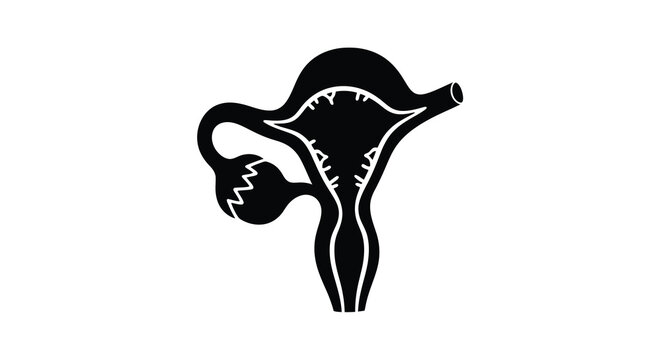 Female reproductive system illustration black and white silhouette uterus womb fallopian tubes