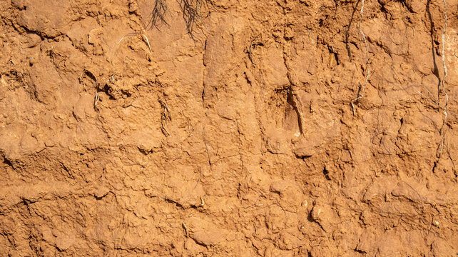 Pared de tierra arcillosa y marr&oacute;n