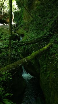 Forest river between mossy rock walls with fallen log 4k drone