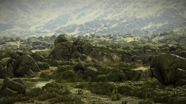 Closeup sculpted rock formations with jagged texture and deep crevices, weathered granite shapes dominate foreground while distant peaks provide contextual