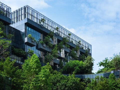 Sustainable Glass building Eco friendly Vertical garden design Well being green environment concept