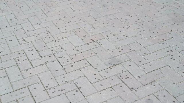 Small drops of rain begin to fall on the paving stones of the pedestrian sidewalk