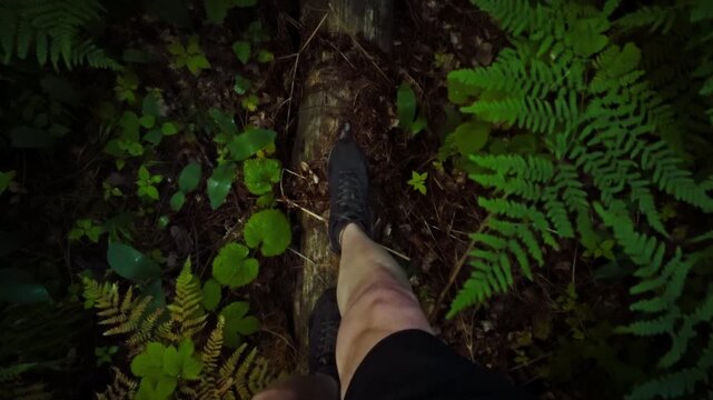 A tourist overcomes a log among the green thickets of the forest, view from above during the daytime. The concept of moving forward and overcoming obstacles as a metaphor for life's journey