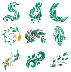 Fototapeta premium Nature inspired decorative elements and flourishes