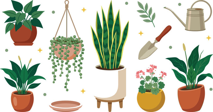 Houseplant collection featuring snake plant, hanging string of pearls, peace lily, flowering plants, watering can, and gardening tools flat vector illustration