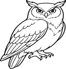 Fototapeta premium owl on white background