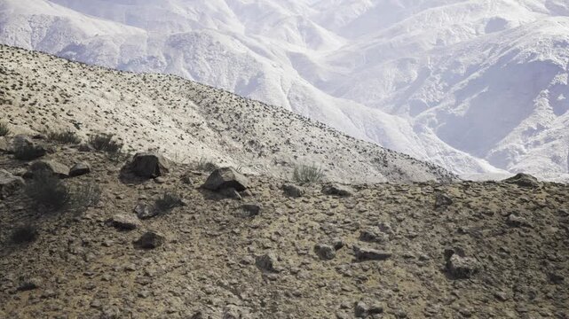 Scenic rugged ridge overlooking faraway mountain range. Vast and solitary mountain ridge under pale sunlight with sparse vegetation and rugged terrain