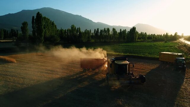 A combine harvester harvesting ripe golden wheat across a vast field, creating a dramatic dust trail with majestic mountains and green trees in the background during a warm summer evening.