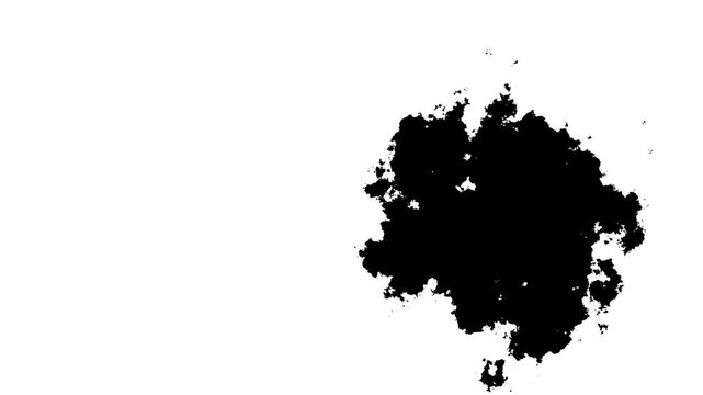 Black watercolor ink splatter transition flowing across white lower background beneath a dark upper frame, organic paint bleed, fluid art reveal, alpha matte overlay, cinematic ink bloom effect