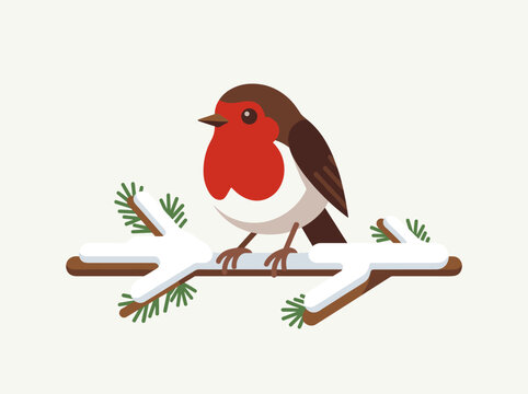 European robin bird perched on pine tree branch covered in snow vector illustration isolated on off white background