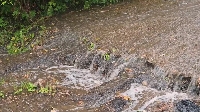 Water rushes over a surface after a heavy rain. The clip captures the splashing movement and surrounding greenery, creating a dynamic scene
