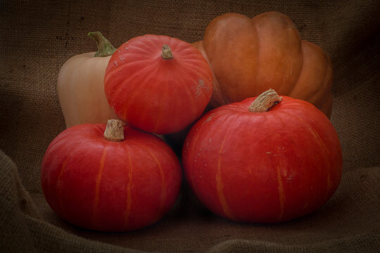 heap of pumpkins laying on burlap