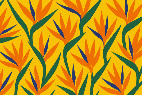 Tropical background with stylized strelitzia bird of paradise flowers in orange blue and green on yellow. Modern exotic floral illustration for textile wallpaper and summer packaging