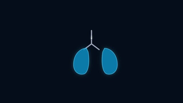 Human lungs breathing animation: medical science respiratory system concept 4k human anatomy