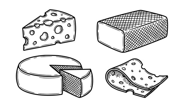 Cheese Variety Collection Featuring Swiss Cheese Wheel Block Wedge and Sliced Dairy Illustrations