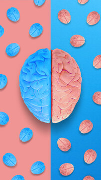 Left and Right Brain Concept. Anatomy of Right and Left Lobes of Human Brain.