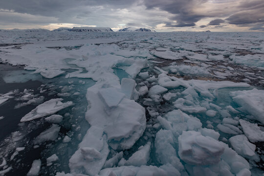 Floating icebergs in arctic ocean under cloudy sky near svalbard archipelago with landscape, wilderness