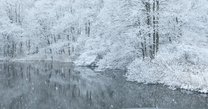 降雪の裏磐梯の池と森