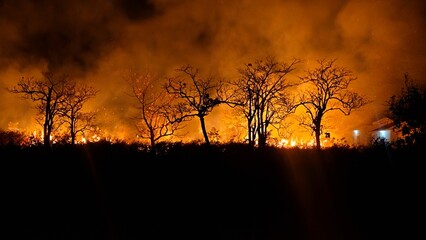 Fototapeta premium Wildfire spreading through dry vegetation at night, with flames, smoke, and silhouetted trees illustrating the destructive impact of forest and grassland fires