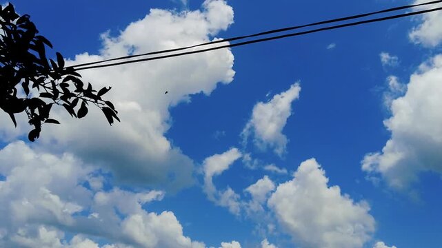 Bright blue sky with puffy white clouds tree leaves silhouette and power lines outdoors