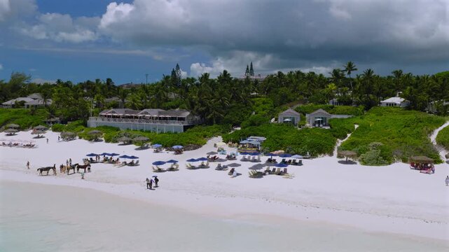Aerial view of Pink Beach with white sand, blue umbrellas, and horses in Rock Sound, South Eleuthera, The Bahamas.