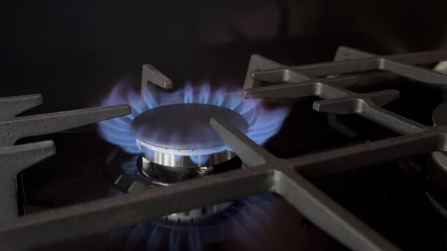 A gas burner with a blue flame on a modern kitchen stove.