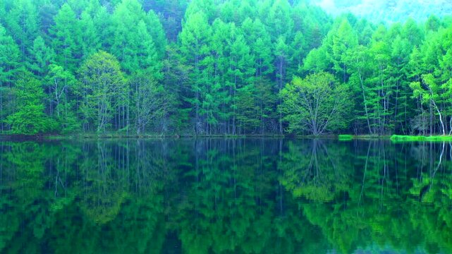 新緑の御射鹿池