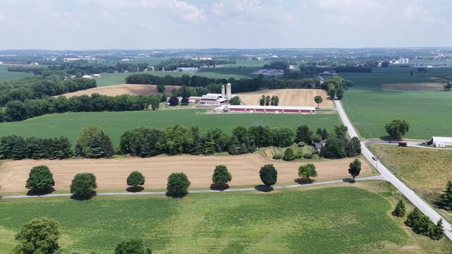 Red storage barn and grain silos stand beside golden wheat fields in American Midwest, rows of shade trees line farm road through green pastures under hazy summer sky. Aerial drone wide shot