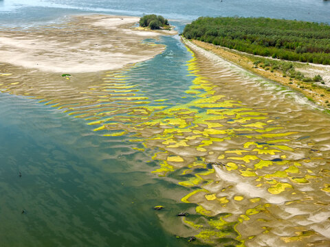 Aerial view of the Danube riverbank with exposed sandbars, green algae, and riverside vegetation in Krcedin, Vojvodina, Serbia.