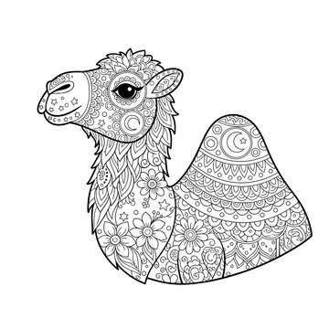 Ornate black and white illustration of a camel head with intricate mandala patterns and floral designs, isolated on white background.
