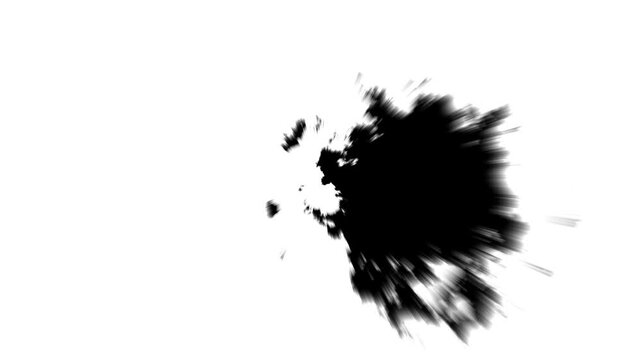 Premium black and white ink burst animation featuring organic watercolor flow, dramatic ink bloom, fluid brush stroke transition, alpha matte overlay, cinematic reveal effect